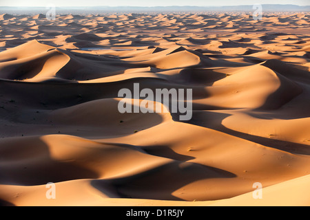 Marokko, M' Hamid, Erg Chigaga Dünen. Wüste Sahara. Stockfoto