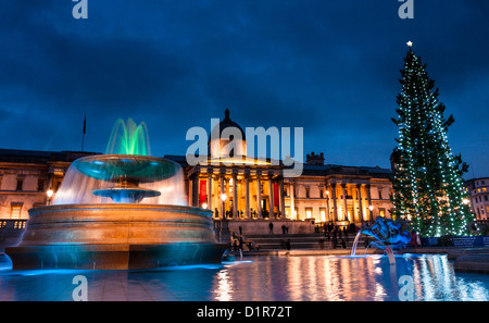 London: Weihnachtsdekoration der Trafalgar Square in London Stockfoto