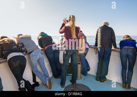 Whale-watching vor der Küste Newport Beach, Kalifornien. Stockfoto