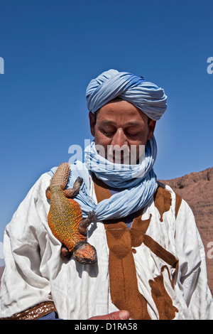 Marokko, Ain Saoun, weibliche Leguan. Stockfoto