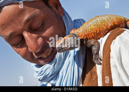 Marokko, Ain Saoun, weibliche Leguan. Stockfoto