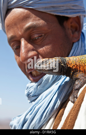 Marokko, Ain Saoun, weibliche Leguan. Stockfoto