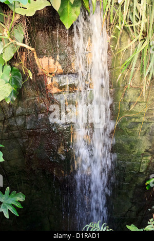 Künstlichen Wasserfall in der südamerikanischen Kuppel, Randers Regnskov Zoo, Randers, Dänemark Stockfoto