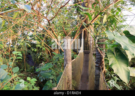 Hängebrücke in der südamerikanischen Kuppel, Randers Regnskov Zoo, Randers, Dänemark Stockfoto