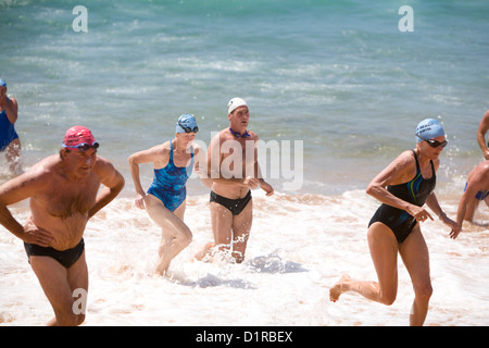 Männliche und weibliche Schwimmer treten jedes Jahr im Rahmen der Pittwater Ocean Swim Series, NSW, Australien, beim Avalon Beach Ocean Swim-Rennen gegeneinander an Stockfoto