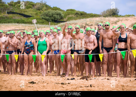 Schwimmer konkurrieren in der Avalon Strand Meer schwimmen hielt im Jahr auf Nordstrände von Sydney, Australien Stockfoto