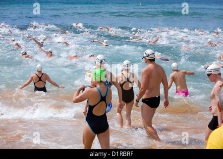 Schwimmer konkurrieren in der Avalon Strand Meer schwimmen hielt im Jahr auf Nordstrände von Sydney, Australien Stockfoto