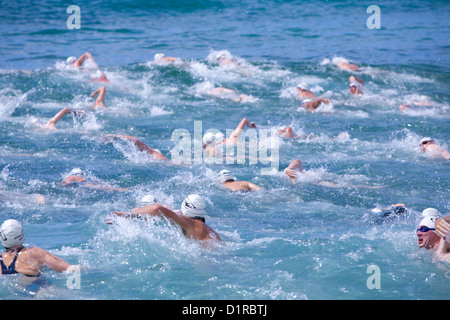 Schwimmer treten jedes Jahr im Rahmen der Pittwater Ocean Swim Series beim Avalon Beach Ocean Swim-Rennen gegeneinander an Stockfoto