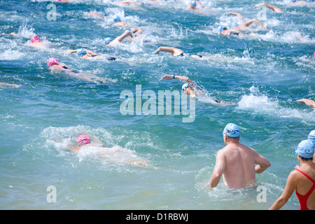 Schwimmer treten jedes Jahr im Sommer im Rahmen der Pittwater Ocean Swim Series in Sydney, Australien, beim avalon Beach Ocean Swim-Rennen gegeneinander an Stockfoto