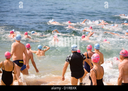 Schwimmer konkurrieren in der Avalon Strand Meer schwimmen hielt im Jahr auf Nordstrände von Sydney, Australien Stockfoto