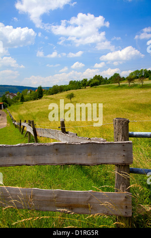 Landwirtschaft-Landschaft mit Holzzaun auf einer Weide, Sommer, Saarland / Deutschland Stockfoto