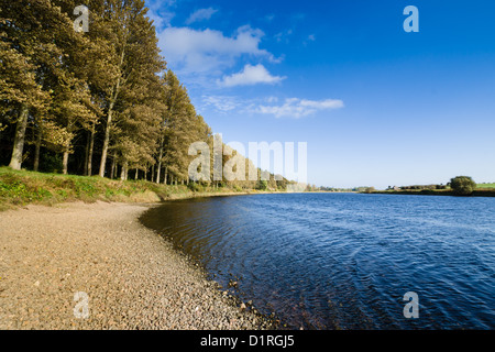 Paxton House Estate, Berwickshire, stattliches Haus neben dem Fluss Tweed - Uferpromenade Stockfoto