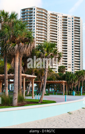 Palme und high-Rise Eigentumswohnung auf Singer Island, Riviera Beach, Florida USA Stockfoto