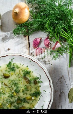 Close-up auf einen Teller mit Gurken-Suppe mit Knoblauch und dill Stockfoto