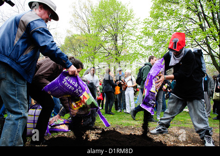 Die Toronto Occupy-Bewegung organisiert mehrere Veranstaltungen feiern Maifeiertag, einschließlich der Bepflanzung Gemüsegarten auf der n Stockfoto