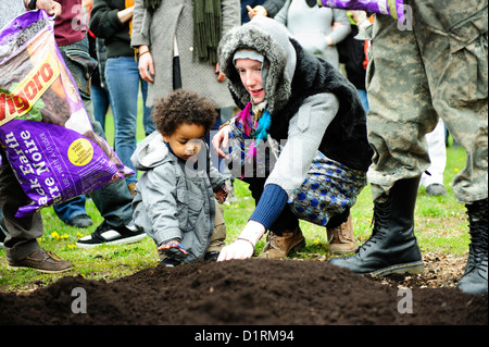 Die Toronto Occupy-Bewegung organisiert mehrere Veranstaltungen feiern Maifeiertag, einschließlich der Bepflanzung Gemüsegarten auf der n Stockfoto