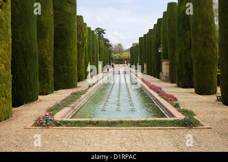 Gärten der Festung Alcazar der christlichen Monarchen in Córdoba, Andalusien, Spanien. Stockfoto