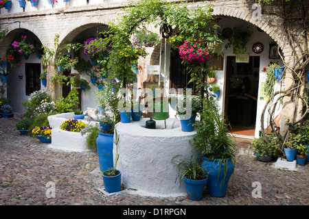 Traditionellen andalusischen Innenhof mit Brunnen, Pflanzen und Blumen in Töpfen in Córdoba, Spanien. Stockfoto