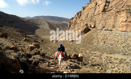 Muleteer auf dem Weg von Tijhza (Tighza) Dorf ostwärts nach Lake Tamda, Marokko. Stockfoto