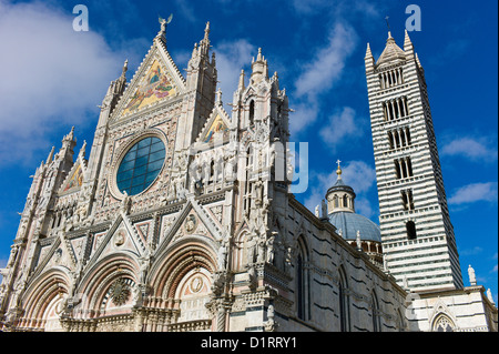 Der Dom, Siena, Toskana, Italien. Die Fassade, die gotische Fensterrose und Campanile dekoriert mit Bands der schwarzen und weißen Marmor Stockfoto