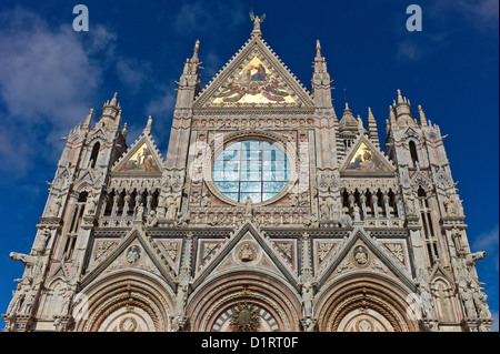 Die Fassade und die gotische Rosette von der Dom, Siena, Toskana, Italien Stockfoto