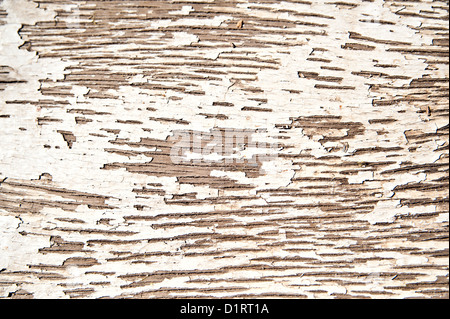 Nahaufnahme eines weißen gemalten alten Holztisch Stockfoto