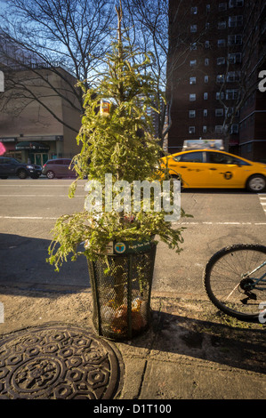 Ein armer, einsamer, ausrangierter Weihnachtsbaum sieht man in Bordsteinkante Mülleimer in der New Yorker Stadtteil Chelsea Stockfoto