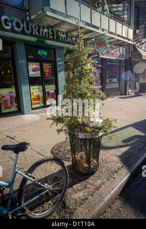 Ein armer, einsamer, ausrangierter Weihnachtsbaum sieht man in Bordsteinkante Mülleimer in der New Yorker Stadtteil Chelsea Stockfoto