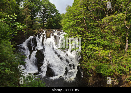 Swallow Falls, Betws-y-Coed, Gwynedd, Nordwales Stockfoto