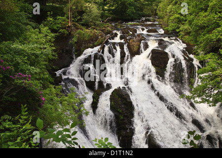 Swallow Falls, Betws-y-Coed, Gwynedd, Nordwales Stockfoto