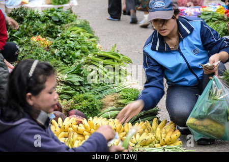 LUANG PRABANG, Laos - Ein Kunde kauft ein Bündel Bananen am Morgen Markt in Luang Prabang, Laos. Stockfoto