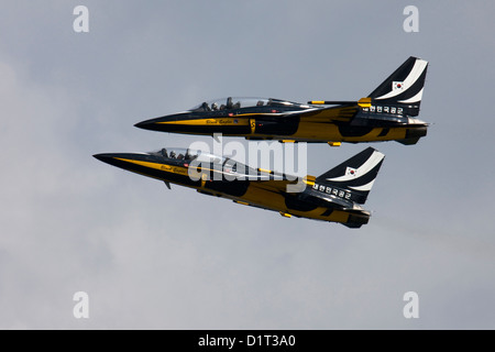 Die Republik der Korea Luftwaffe Aerobatic Team bekannt als der schwarze Adler Stockfoto