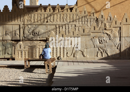 Apadana Palast Treppen, Persepolis, Iran Stockfoto