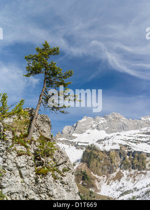 DEU-Tal, Karwendel-Gebirge, Österreich, Blick Richtung Mount Lamsenspitze. Stockfoto