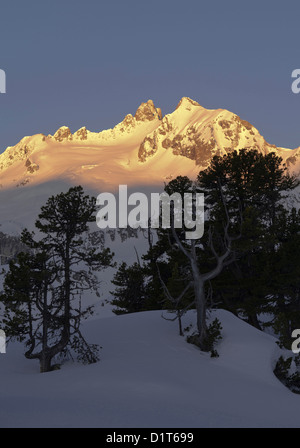 Zillertertal Alpen im Nationalpark Hohe Tauern im Winter. Sonnenaufgang über dem Mt Reichenspitze und Mt Gabler. Stockfoto