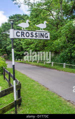 Duck Crossing Schild auf der Straße in Ludham Norfolk UK Stockfoto