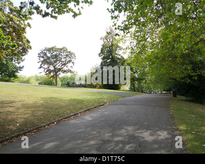 Landschaft Foto von Bäumen in Rundholz Park, North West London, NW10 UK, Stockfoto