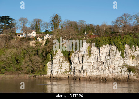 Klippen am Fluss Wye bei Chepstow Stockfoto