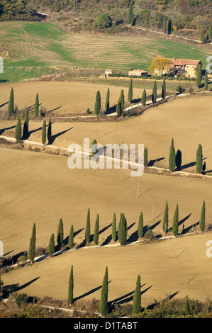 "La Valle", Val d ' Orcia Landschaft, Siena, Toskana, Italien Stockfoto