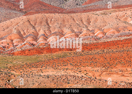 Bunte Dünen in Utah, USA Stockfoto