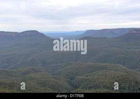 KATOOMBA, Australien - Blue Mountains Tal vom Echo Point in Katoomba, New South Wales, Australien gesehen. Stockfoto