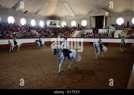 Jerez De La Frontera, Spanien, Trick-Fahrer in der königlichen andalusischen Riding School of Art Stockfoto