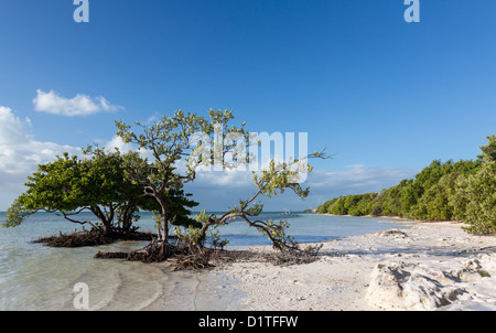 Annes Strand Straßenrand in Florida Keys von Route 1 Overseas Highway Stockfoto