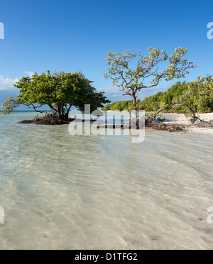 Annes Strand Straßenrand in Florida Keys von Route 1 Overseas Highway Stockfoto