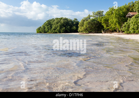 Annes Strand Straßenrand in Florida Keys von Route 1 Overseas Highway Stockfoto