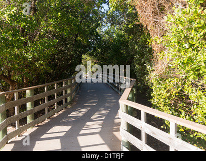 Promenade am Strand von Annes Straßenrand in Florida Keys von Route 1 Overseas Highway Stockfoto