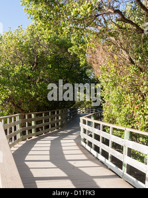 Promenade am Strand von Annes Straßenrand in Florida Keys von Route 1 Overseas Highway Stockfoto