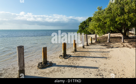 Annes Strand Straßenrand in Florida Keys von Route 1 Overseas Highway Stockfoto