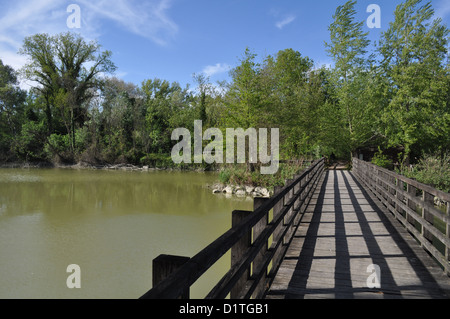 Po-Fluss-Delta (Italien), Punte Alberete Naturschutzgebiet Stockfoto