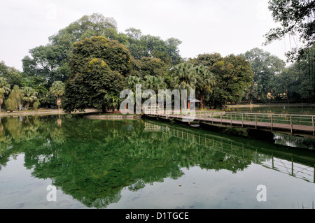 HANOI, Vietnam – Eine Brücke verbindet eine kleine Insel inmitten eines Sees am Botanischen Garten Hanoi (Vuon Bach Thao). Stockfoto